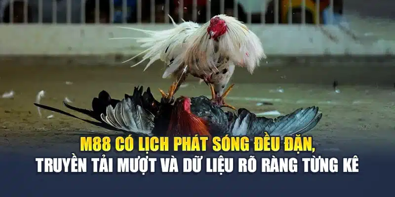 M88 có lịch phát sóng đều đặn, truyền tải mượt và dữ liệu rõ ràng từng kê