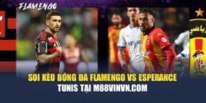 Soi Kèo Bóng Đá Flamengo Vs Esperance Tunis Tại skatemcr.com